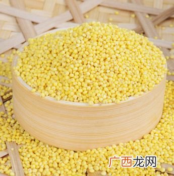 糜子和小米的区别,粘小米与黄小米的区别？