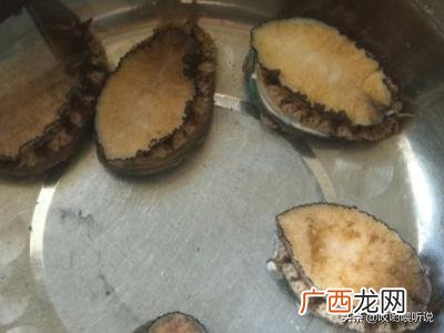 新鲜活鲍鱼怎么保存,新鲜鲍鱼如何冷冻保存？