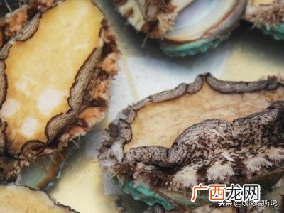 新鲜活鲍鱼怎么保存,新鲜鲍鱼如何冷冻保存？