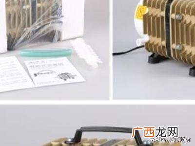 新鲜活鲍鱼怎么保存,新鲜鲍鱼如何冷冻保存？