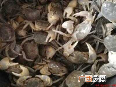 发财蟹怎么吃