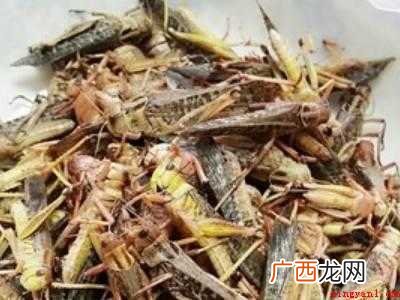 蚂蚱怎么吃