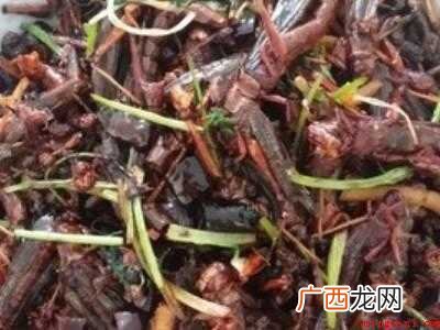 蚂蚱怎么吃