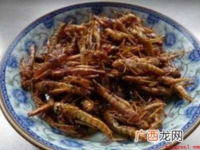 油炸蚂蚱怎么吃