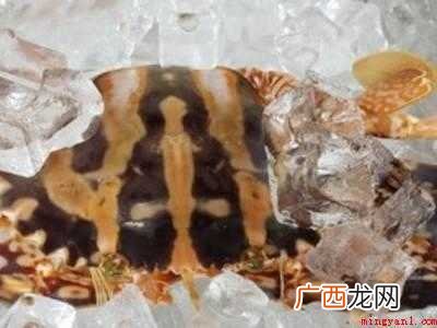 冻蟹怎么吃