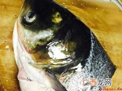 胖头鱼头怎么做好吃又简单
