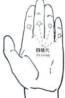 四缝穴在哪里呢,养胃按摩哪些穴位?