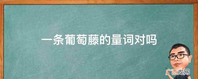 一条葡萄藤的量词对,也可以一根 一条葡萄藤的量词对吗