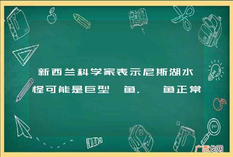 新西兰科学家表示尼斯湖水怪可能是巨型鳗鱼，鳗鱼正常情况下能长多大？