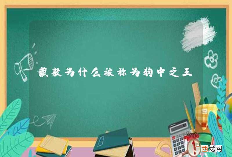 藏敖为什么被称为狗中之王？