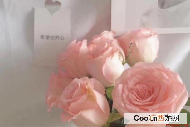 如何治愈霍先生,其实就是一本言情小说 如何治愈霍先生是什么