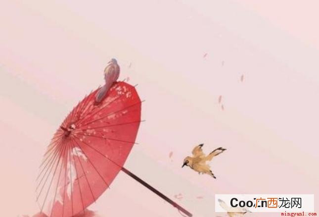 如何治愈霍先生,其实就是一本言情小说 如何治愈霍先生是什么