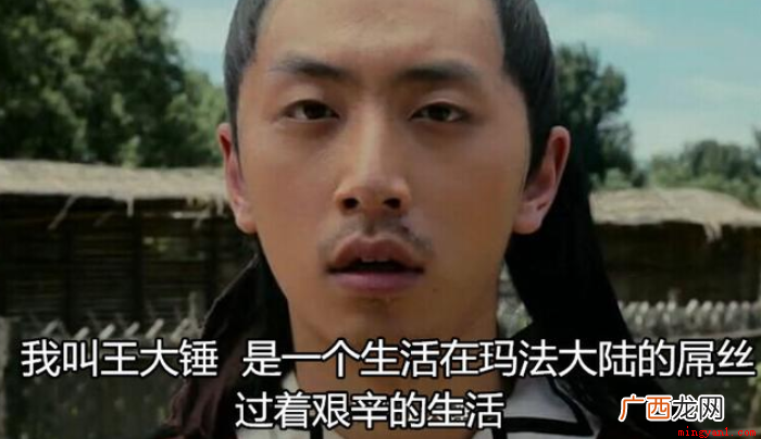 01 ds是什么意思啊