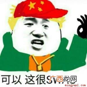 swag网络流行词,是hiphop圈常见的用来夸一个人很酷很 swag是什么意思