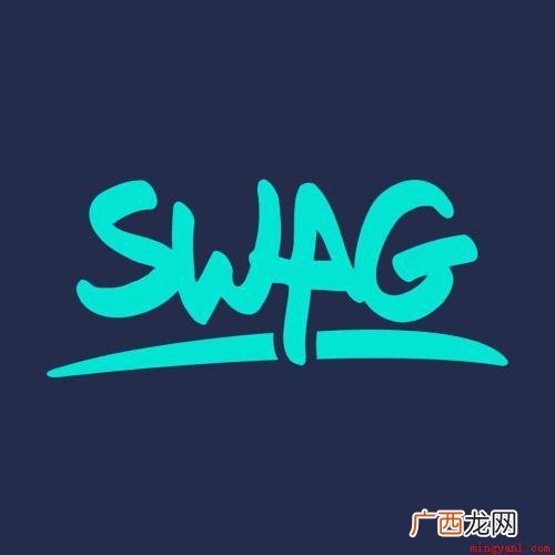 swag网络流行词,是hiphop圈常见的用来夸一个人很酷很 swag是什么意思