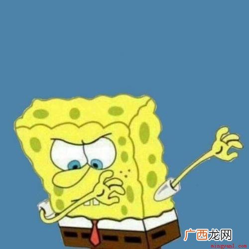 swag网络流行词,是hiphop圈常见的用来夸一个人很酷很 swag是什么意思