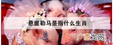 悬崖勒马是指什么生肖