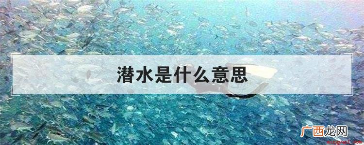 潜水是个网络热门流行词,意思是指一些只看帖子而基本不发表自己