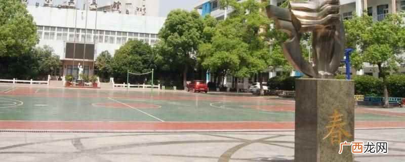 合肥市杏林小学教材版本 合肥市杏林小学教材版本是哪些