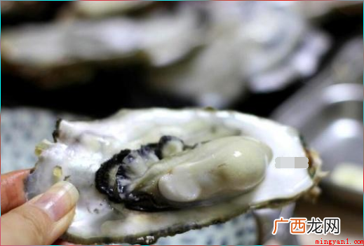 生蚝怎么清洗?这几个步骤你知道吗? 生蚝怎么清洗