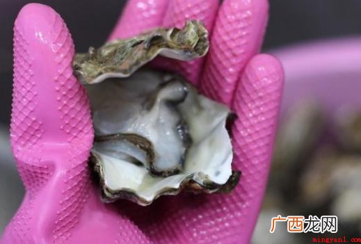 生蚝怎么清洗?这几个步骤你知道吗? 生蚝怎么清洗