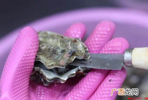 生蚝怎么清洗?这几个步骤你知道吗? 生蚝怎么清洗