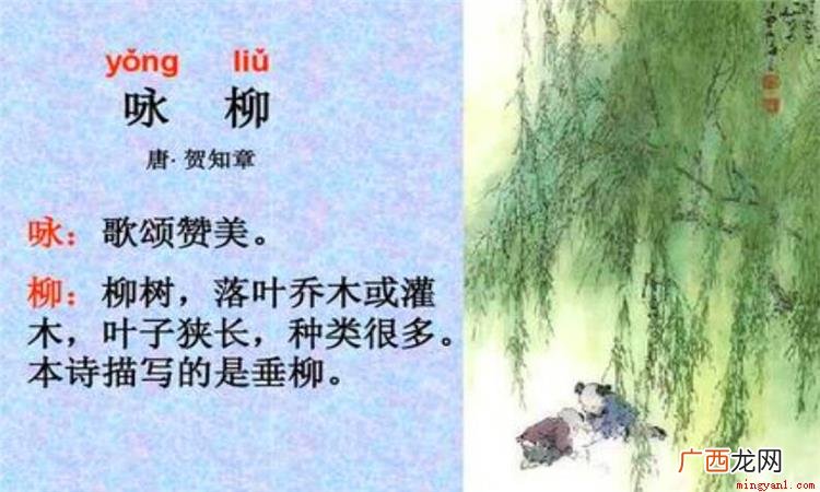 柳树歌颂春风,把春风比作美的裁剪工具,赞美春风裁出了春天