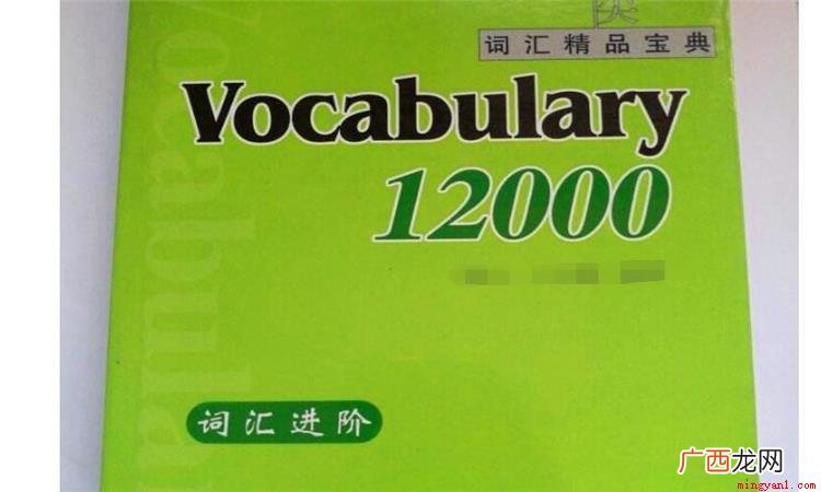 vocal这个英文单词有好几种使用方法 vocal是什么意思