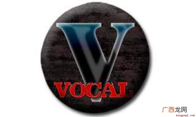 vocal这个英文单词有好几种使用方法 vocal是什么意思