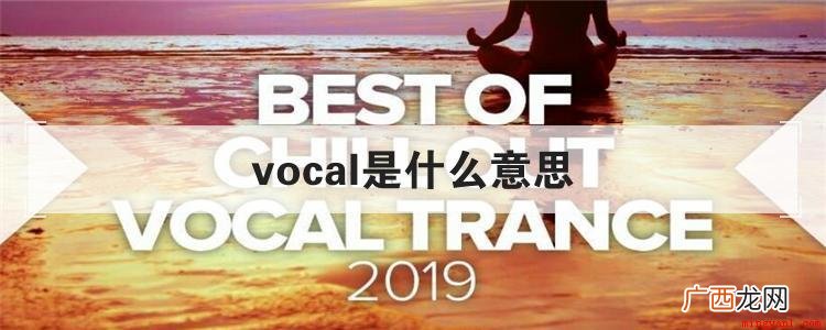 vocal这个英文单词有好几种使用方法 vocal是什么意思
