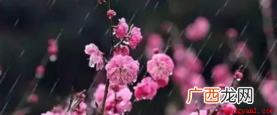 立春禁忌:立春之日不看病 立春的禁忌都有哪些