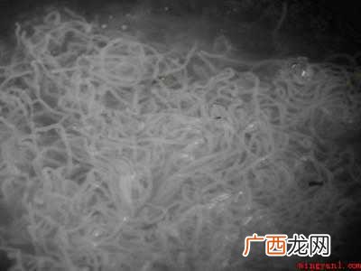 卫龙魔芋粉怎么吃