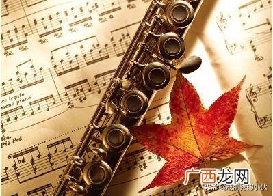 西洋乐器笛子的种类,长笛是西方乐器吗？