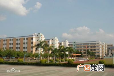 中澳实验学校是公立还是私立,2021深圳中考480分能上什么学校？
