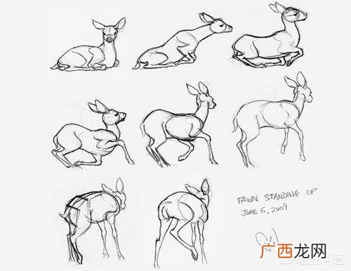 小梅花鹿怎么画,如何画鹿，鹿简笔画步骤图？
