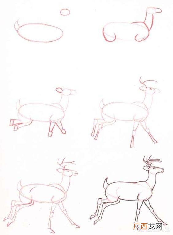 小梅花鹿怎么画,如何画鹿，鹿简笔画步骤图？