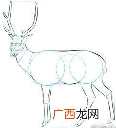 小梅花鹿怎么画,如何画鹿，鹿简笔画步骤图？