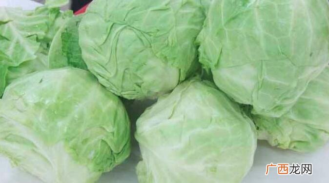 大头菜和卷心菜的营养价值区别 大头菜和卷心菜的区别