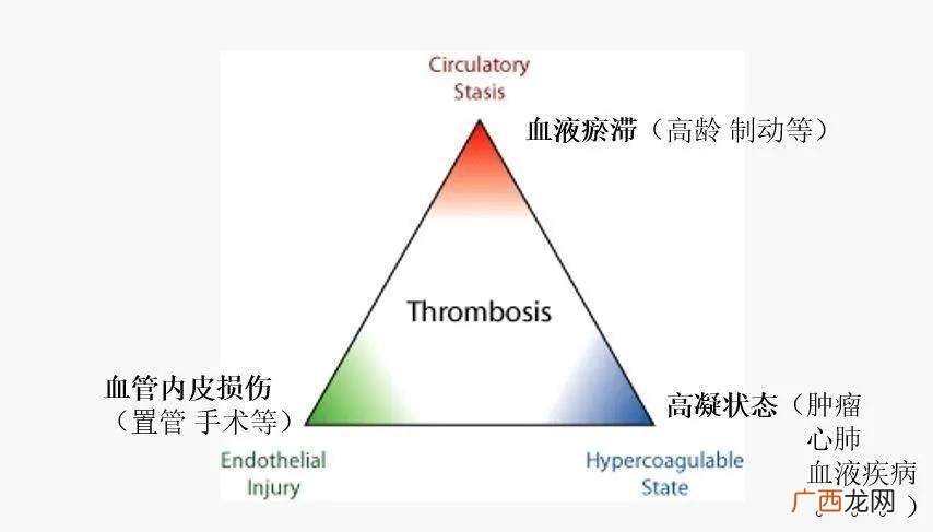 vte是什么意思,vte低风险是什么意思？