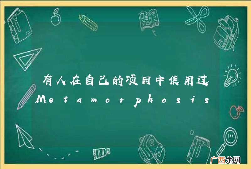 有人在自己的项目中使用过Metamorphosis吗？