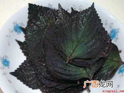 干紫苏怎么吃