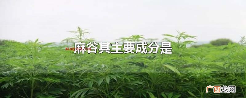 麻古的主要成分是冰毒_健康频道 麻谷其主要成分是