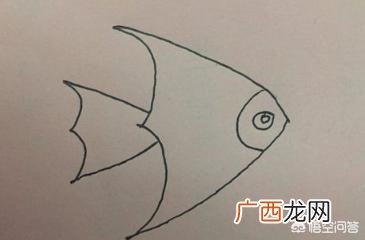 怎样画金鱼,怎样画金鱼简笔画?