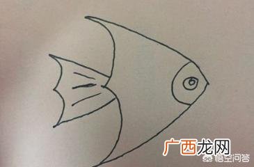 怎样画金鱼,怎样画金鱼简笔画?
