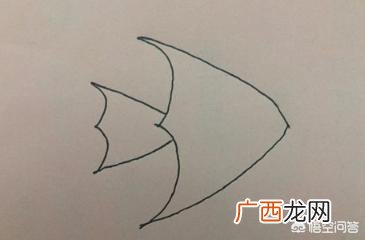 怎样画金鱼,怎样画金鱼简笔画?