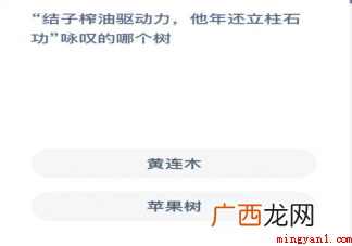 结子榨油驱动力他年还立柱石功咏叹的哪个树