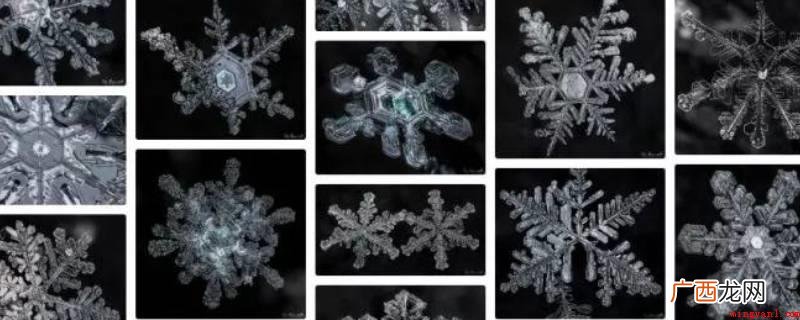 云间雪花试管胚胎的小冰霜,关键有2种样子 雪花是晶体吗