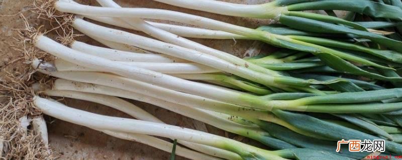 茎菜类蔬菜水果有小葱、圆葱、洋白菜、青笋、土豆、茭白、淮山药 茎菜类蔬菜有哪些