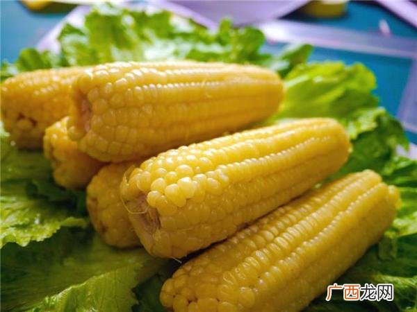 玉米属于碳水化合物吗,玉米属于水吗？