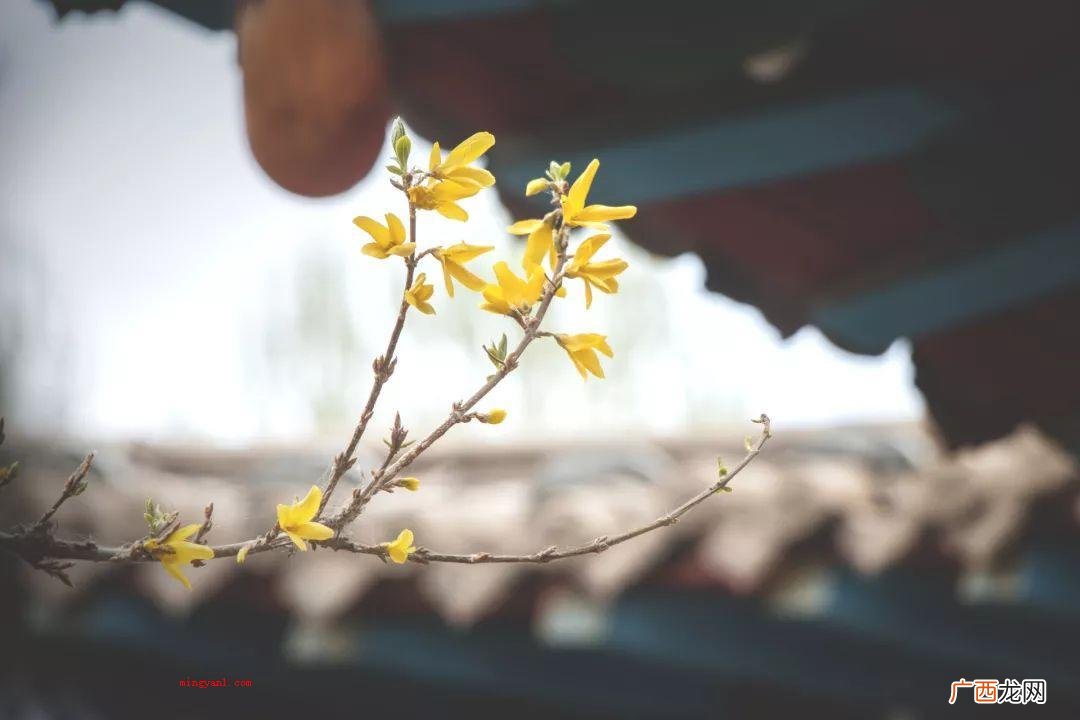 立春是2月3日22点58分39秒 2021年立春是几月几号几点几分？
